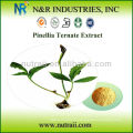 Fournisseur fiable Ternate Pinellia Extract Powder